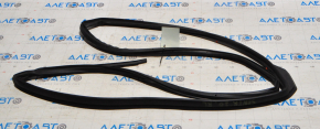 Rear left door seal Nissan Sentra 20-24