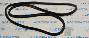 Door seal rear left Chevrolet Cruze 11-16