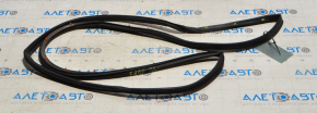 Chrysler 200 15-17 Rear Left Door Seal