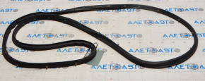 Chevrolet Malibu 16-23 rear left door seal