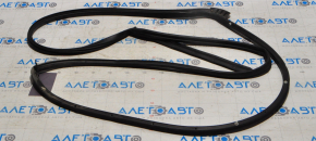 Rear left door seal Hyundai Elantra AD 17-20
