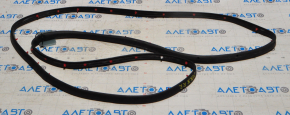 Lincoln MKX 16-18 rear right door seal