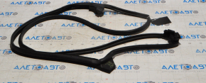 Toyota Camry v70 18-24 rear right door seal