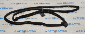 Jeep Compass 11-16 rear right door seal