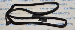 Cadillac CTS 14-19 rear right door seal