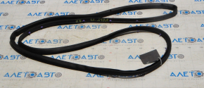 Chevrolet Volt 16- rear right door seal