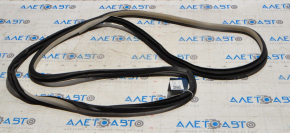 Front right door seal for Nissan Altima 13-14 beige
