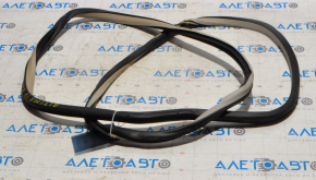 Rear right door seal for Nissan Altima 13-14, beige