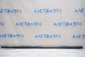 Molding door-glass center front left VW Beetle 12-19