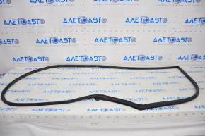 Toyota Prius 30 10-15 Front Left Door Seal