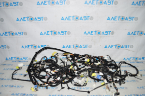 Toyota Avalon 13-18 interior wiring