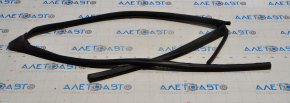 Front Left Glass Seal GMC Terrain 10-17