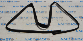 Front right glass seal Kia Forte 4d 14-16