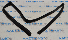 Glass seal front right Nissan Maxima A36 16-23