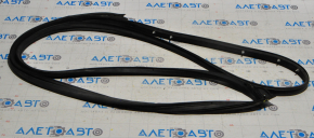 Front right door seal Nissan Rogue Sport 17-22 is torn
