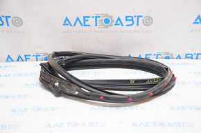 Front left door seal Infiniti Q50 14-20