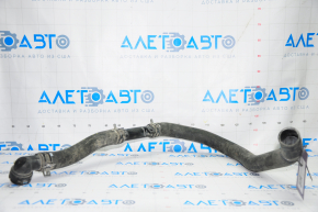 Lower cooling hose Hyundai Sonata 15-17 2.4