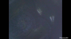 Engine 2AR-FE Toyota Camry v50 12-14 2.5 usa 78k, 8/10
