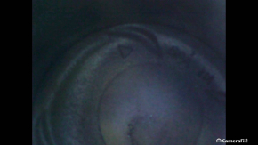 Honda Accord 18-22 1.5T L15BE 94k Engine