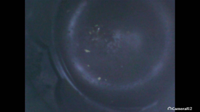 Ford Escape MK3 13-19 1.6T 76k engine spins, contact with water