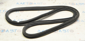 Rear left window seal Toyota Sienna 11-20