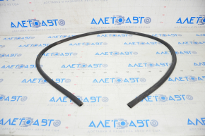 Tesla Model 3 Front Right Door Seal 18-