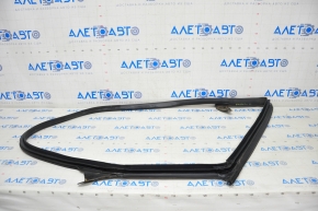 Door Seal Rear Left Tesla Model 3 18-