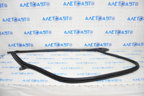 Door Seal Front Left Tesla Model 3 18-