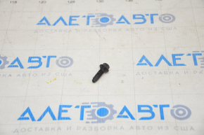 Bolt lower door hinge rear right Tesla Model 3 18- on the door