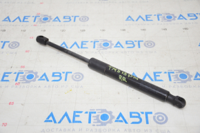 Trunk lid shock absorber right Tesla Model 3 18-