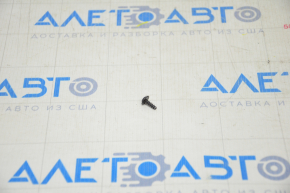 Tesla Model 3 Front Panel Screw 18- Small