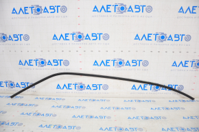 Windshield Seal Lower Tesla Model 3 18-
