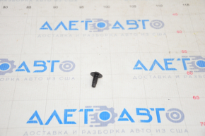 Tesla Model 3 Rear Left Door Limiter Bolt 18-