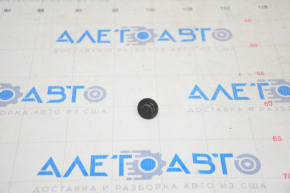 Tesla Model 3 Front Left Door Limiter Bolt 18-