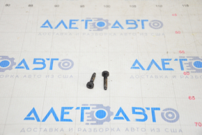 Tesla Model 3 18 Rear Left Door Card Trim Bolts - 2pcs Set
