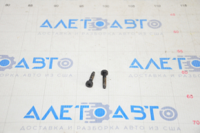 Door trim bolts rear right Tesla Model 3 18- 2 pcs set
