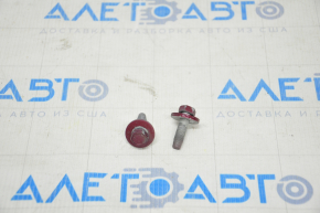 Chevrolet Volt 16 lower rear left door hinge bolts - on body, set