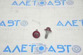 Bolts door hinge lower front left Chevrolet Volt 16- on the body, set