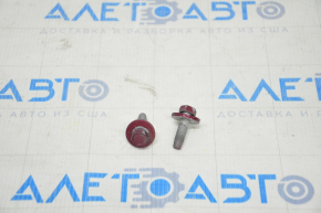 Chevrolet Volt 16 lower rear right door hinge bolts - on body, set