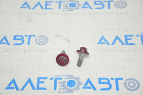 Bolts for the hinge of the lower door of the front right 2 pcs. Chevrolet Volt 16 - on the body