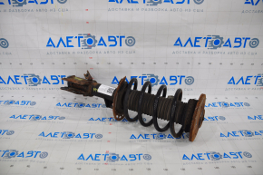 Shock absorber strut assembly front left Ford Fusion mk5 13-20 rusty