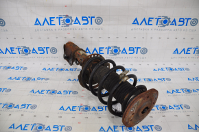 Shock absorber strut assembly front right Ford Fusion mk5 13-20 1.5T, 2.5, rusty