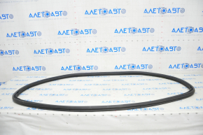 Tesla Model X 16-21 Central Hood Seal