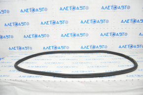 Tesla Model X 16-21 Central Hood Seal