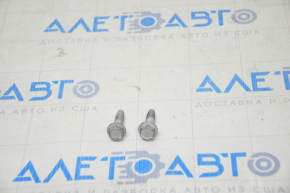 Bolt upper door hinge front right Tesla Model X 16-21 on the door