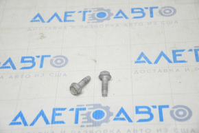 Bolt lower door hinge front right Tesla Model X 16-21 on the door
