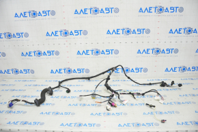Tesla Model X 16-21 Front Right Door Wiring