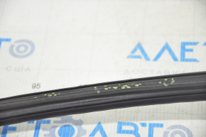 Door seal upper front right Tesla Model X 16-21 tears