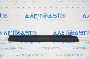 Door Bend Trim Rear Left Lower Tesla Model X 16-21 Black