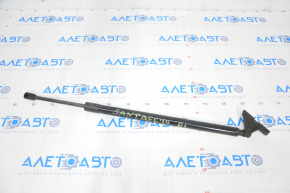 Shock absorber trunk door left Hyundai Santa FE 19-23